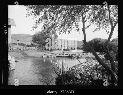 Wadi Sha'ib Es-Salt, Amman, etc. Source du Zerka Banque D'Images