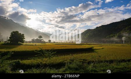 Coucher de soleil avec brouillard sur les rizières dans les hautes terres Banque D'Images