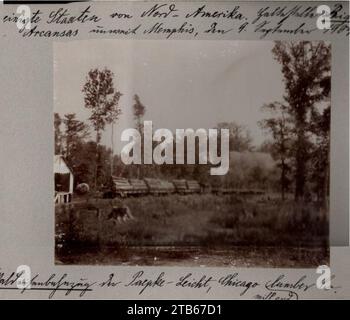 Waldeisenbahnzug der Paepcke-Leicht, Chicago Mill and Lumber Co., Vereinigte Staaten von Nord-Amerika. Big Lake, Arkansas Unweit Memphis, den 9. Septembre 1904. Banque D'Images