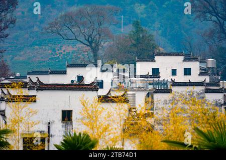 Shangrao, Chine. 05 décembre 2023. Les bâtiments de style hui avec des murs blancs et des tuiles sombres émergent du brouillard, entourés d'arbres colorés au Shicheng Scenic Spot dans le comté de Wuyuan, Shangrao, Chine, le 3 décembre 2023. (Photo Costfoto/NurPhoto) crédit : NurPhoto SRL/Alamy Live News Banque D'Images