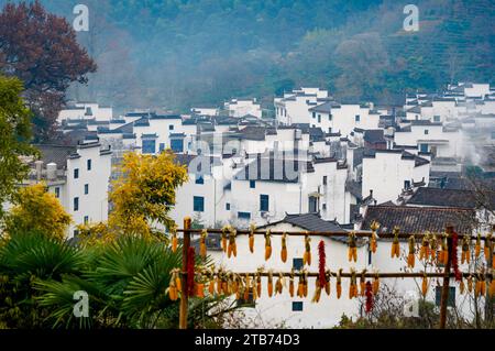 Shangrao, Chine. 05 décembre 2023. Les bâtiments de style hui avec des murs blancs et des tuiles sombres émergent du brouillard, entourés d'arbres colorés au Shicheng Scenic Spot dans le comté de Wuyuan, Shangrao, Chine, le 3 décembre 2023. (Photo Costfoto/NurPhoto) crédit : NurPhoto SRL/Alamy Live News Banque D'Images