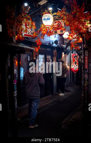 TOKYO/JAPON - 19 novembre 2023 : vie nocturne dans l'allée Golden Gai. Banque D'Images