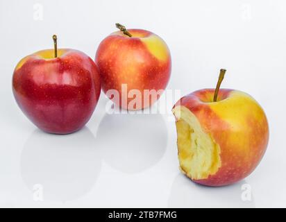 Une pomme mûre mordue et deux pommes Gala entières isolées sur un fond blanc avec reflet Banque D'Images