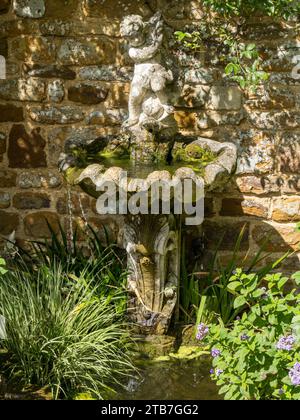 Petit dispositif mural d'eau de jardin / bain d'oiseau avec chérubin au-dessus de la coquille de palourdes en pierre sculptée. Coton Manor Gardens, Northamptonshire, Angleterre, Royaume-Uni Banque D'Images