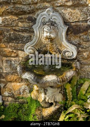 Petit dispositif d'eau de jardin en pierre fixé au mur / bain d'oiseau avec de l'eau jaillissant de la bouche du chérubin. Coton Manor Gardens, Northamptonshire, Angleterre, Royaume-Uni Banque D'Images