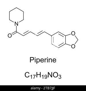 Pipérine, formule chimique et structure squelettique. Composé responsable de la piquante du poivre noir et du poivre long, tous deux utilisés comme épice. Banque D'Images