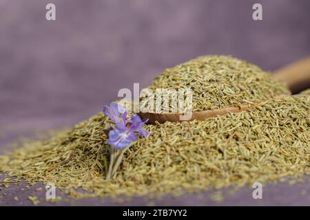 cuillère en bois avec du romarin séché moulu sur un tas de graines et une fleur de romarin fraîchement coupée Banque D'Images