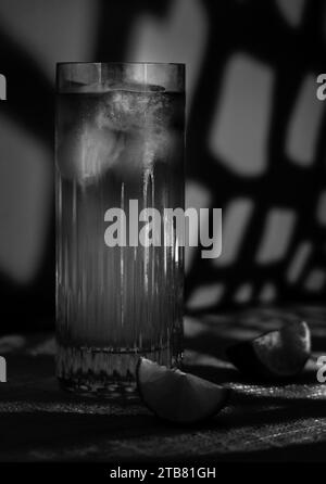 Cocktail sombre et orageux en noir et blanc avec de la glace et du citron dans un verre à boule haute Banque D'Images