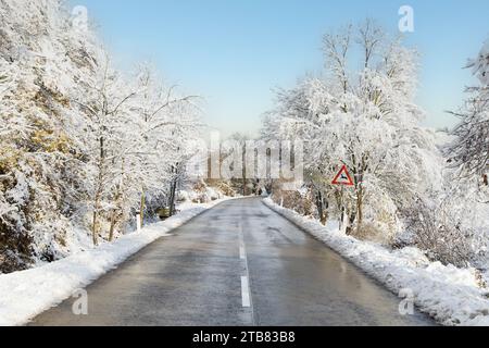 Route de campagne en hiver. Danger en raison de la rue glissante et en raison de la traversée d'animaux sauvages. Banque D'Images