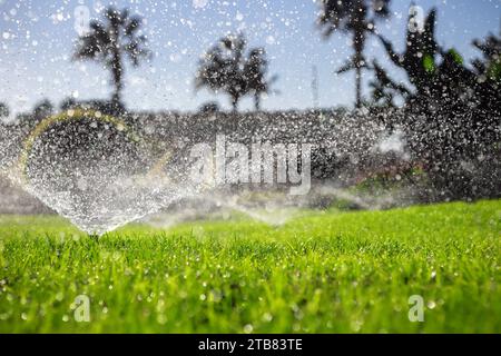 Arroseurs arrosant la pelouse verte. Système d'irrigation automatique. Banque D'Images
