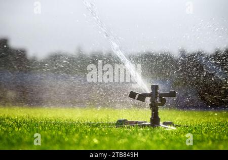 Le système d'arrosage automatique pulvérise de l'eau sur la pelouse. Irrigation. Banque D'Images