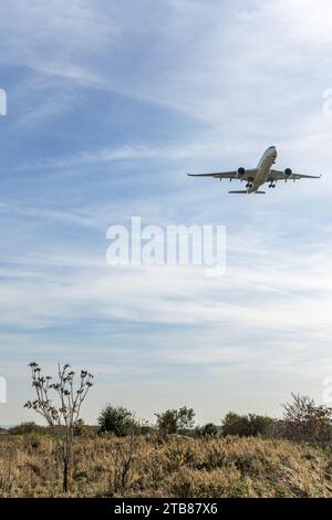 Un avion commercial volant bas près du champ Banque D'Images