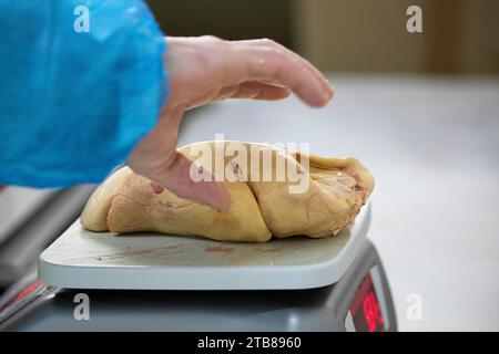 Préparation du foie gras de canard à la ferme du Haut-Pouyet à Saint-Aubin, dans le département des Landes (sud-ouest de la France). Pesée du foie gras Banque D'Images