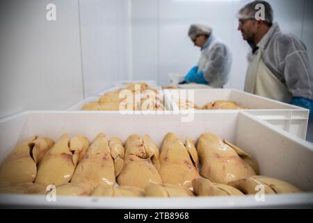 Préparation du foie gras de canard à la ferme du Haut-Pouyet à Saint-Aubin, dans le département des Landes (sud-ouest de la France) Banque D'Images