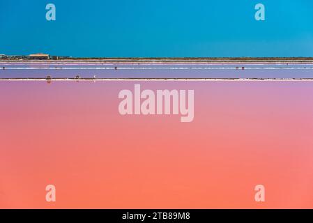 Gruissan (sud de la France) : marais salants de l'île Saint-Martin, dont la couleur rose-rouge est due à la présence d'algues halophiles Banque D'Images