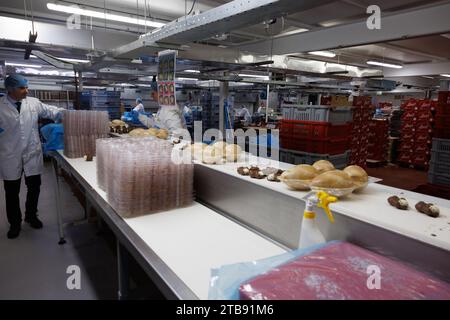 Komen, Belgique. 05 décembre 2023. Produits chocolatés photographiés à la chocolaterie Libeert à Komen (Comines), mardi 05 décembre 2023. Libeert Belgian Chocolate Creators célèbre son 100e anniversaire et inaugure une nouvelle ligne d’emballage. BELGA PHOTO KURT DESPLENTER crédit : Belga News Agency/Alamy Live News Banque D'Images