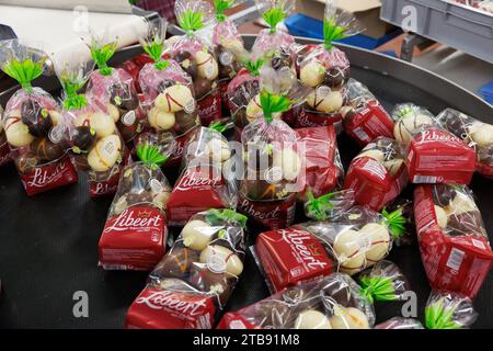 Komen, Belgique. 05 décembre 2023. Produits chocolatés photographiés à la chocolaterie Libeert à Komen (Comines), mardi 05 décembre 2023. Libeert Belgian Chocolate Creators célèbre son 100e anniversaire et inaugure une nouvelle ligne d’emballage. BELGA PHOTO KURT DESPLENTER crédit : Belga News Agency/Alamy Live News Banque D'Images