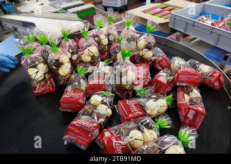 Komen, Belgique. 05 décembre 2023. Produits chocolatés photographiés à la chocolaterie Libeert à Komen (Comines), mardi 05 décembre 2023. Libeert Belgian Chocolate Creators célèbre son 100e anniversaire et inaugure une nouvelle ligne d’emballage. BELGA PHOTO KURT DESPLENTER crédit : Belga News Agency/Alamy Live News Banque D'Images