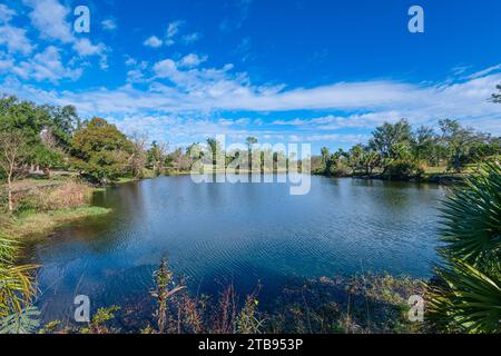 'Reflets tranquilles sur les rives du lac Caroline à Panama City, en Floride, où le feuillage vert vibrant rencontre le ciel bleu serein, créant un pi Banque D'Images