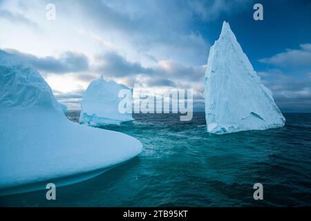 Icebergs dans le détroit de Gerlache ; Antarctique Banque D'Images