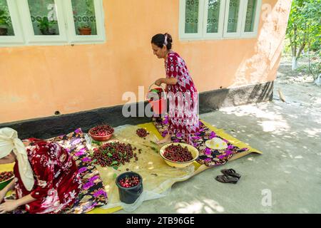 Femme ouzbèke en robe nationale tenant un seau rouge avec des cerises récoltées Banque D'Images