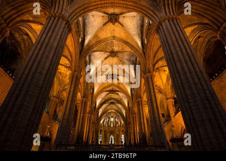 Vue sur les colonnes et le plafond voûté de la cathédrale de Barcelone ; Barcelone, Espagne Banque D'Images