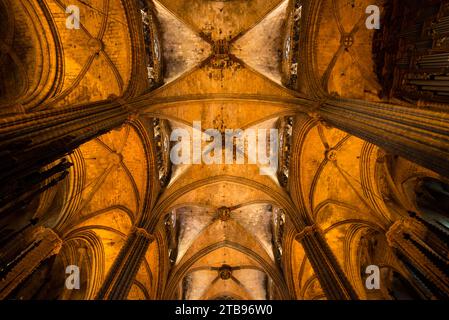 Vue sur les colonnes et le plafond voûté de la cathédrale de Barcelone ; Barcelone, Espagne Banque D'Images