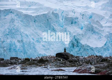 Colonie de manchots à jugulaire (Pygoscelis antarctica) et buste de Luis Pardo à point Wild sur Elephant Island ; Antarctique Banque D'Images