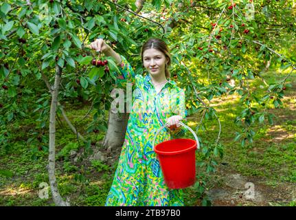 Femme en robe colorée tenant bouquet de cerises en main Banque D'Images