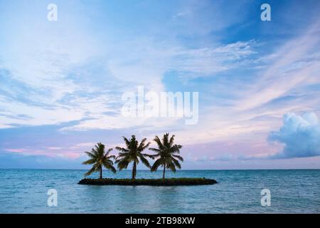 Palmiers sur une petite île flottant dans l'océan ; Apia, Samoa Banque D'Images