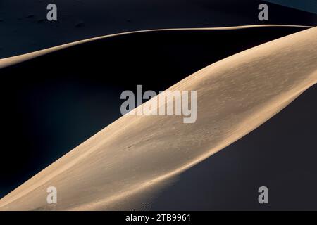 La lumière de l'après-midi projette de longues ombres sur les dunes de sable dans le parc Namib-Naukluft ; Sossusvlei, Namibie Banque D'Images