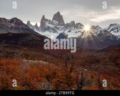 Vues le long de la randonnée d'une journée jusqu'au pic Laguna Torre avec la couleur d'automne des hêtres du sud, ou des arbres Nothofagus dans le parc national Los Glaciares Banque D'Images