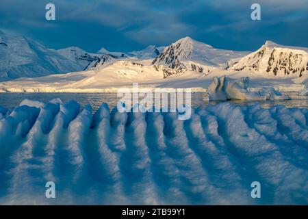 Lumière de l'après-midi vers minuit dans un été Antarctique ; canal Neumayer, Antarctique Banque D'Images