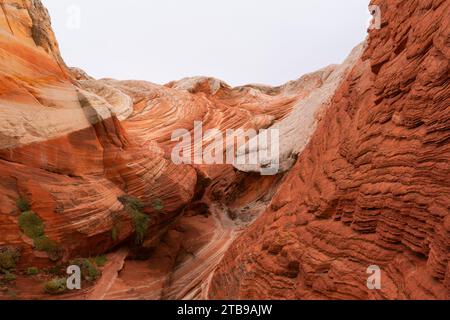 Vue panoramique des formations rocheuses et des falaises abruptes avec des motifs tourbillonnants sous un ciel nuageux, faisant partie du paysage extraterrestre de lignes étonnantes,... Banque D'Images