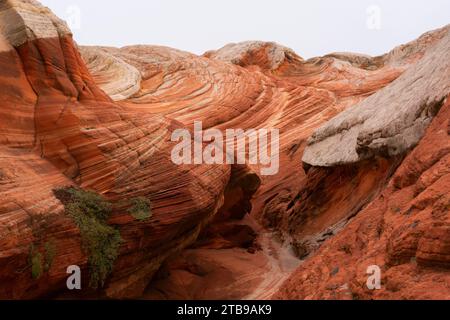 Vue panoramique des formations rocheuses et des falaises abruptes avec des motifs tourbillonnants sous un ciel nuageux, faisant partie du paysage extraterrestre de lignes étonnantes,... Banque D'Images