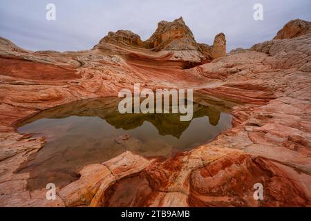 Vue panoramique sur les formations rocheuses de pierre Navajo, connues sous le nom de Lollipop, reflétée dans un étang dans la région merveilleuse de White Pocket, où des lignes étonnantes, ... Banque D'Images