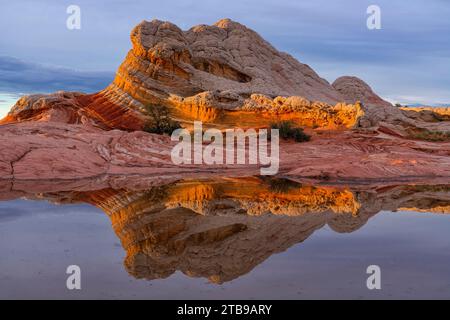 Vue panoramique sur la formation rocheuse de pierre Navajo, connue sous le nom de Lollipop, reflétée dans un étang au coucher du soleil dans la région merveilleuse de White Pocket, où... Banque D'Images