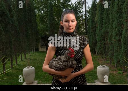 Une jeune femme tient une poule barrée (Gallus domesticus sp.) ; Lincoln, Nebraska, États-Unis d'Amérique Banque D'Images