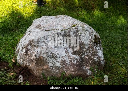 Grand rocher gris, éclairé par la lumière du soleil, couvert de mousse se trouve dans l'herbe verte sur la pelouse. Banque D'Images