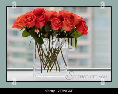 Gros plan d'un bouquet de roses de corail dans un vase en verre près d'une fenêtre ; Studio Shot Banque D'Images