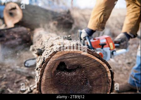 Man utilise une tronçonneuse pour couper une bûche ; Ceresco, Nebraska, États-Unis d'Amérique Banque D'Images