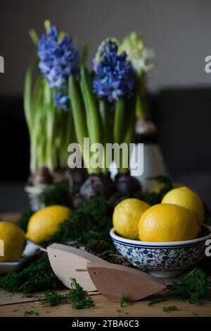 Table de printemps avec fleurs Banque D'Images