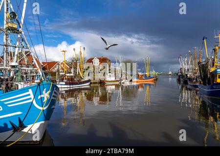 Port de Cutter Neuharlingersiel, Cutter crevette, Frise orientale, Basse-Saxe, Allemagne Banque D'Images