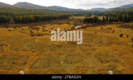 Vue aérienne de la Broadie Habitat Preserve pendant les travaux de restauration de plantation d'arbres à l'automne. Yaak Valley, Montana. Banque D'Images