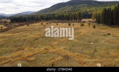 Vue aérienne de la Broadie Habitat Preserve pendant les travaux de restauration de plantation d'arbres à l'automne. Yaak Valley, Montana. Banque D'Images