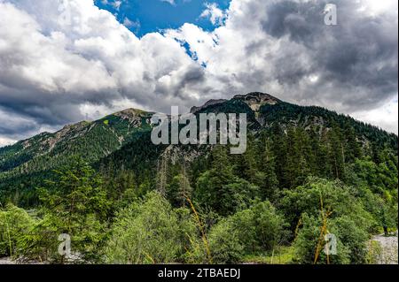 großer Alpsee, das vielseitige Naturerlebnis im Oberallgäu : der Große Alpsee-Rundweg Banque D'Images