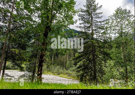 großer Alpsee, das vielseitige Naturerlebnis im Oberallgäu : der Große Alpsee-Rundweg Banque D'Images