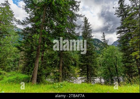 großer Alpsee, das vielseitige Naturerlebnis im Oberallgäu : der Große Alpsee-Rundweg Banque D'Images