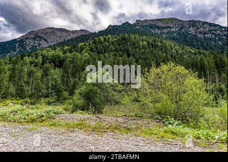 großer Alpsee, das vielseitige Naturerlebnis im Oberallgäu : der Große Alpsee-Rundweg Banque D'Images