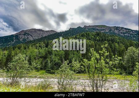großer Alpsee, das vielseitige Naturerlebnis im Oberallgäu : der Große Alpsee-Rundweg Banque D'Images